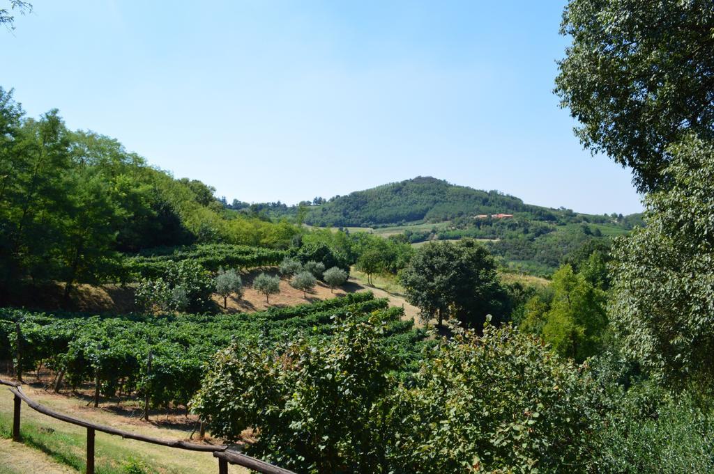 Villa Colle Del Barbarossa Teolo Exterior foto